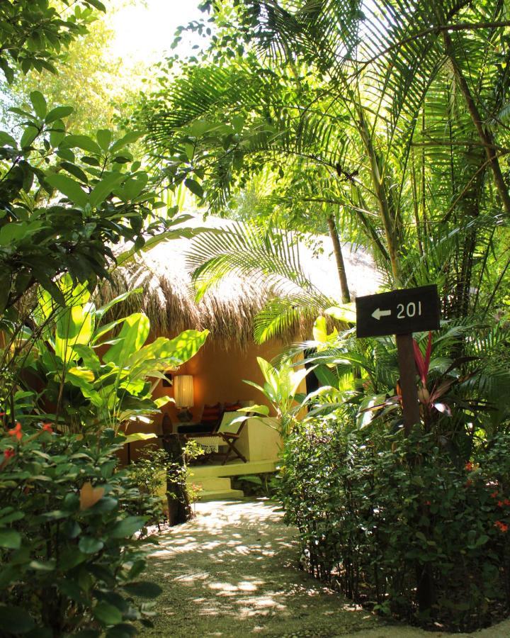 Piedra De Agua Palenque Hotel Buitenkant foto