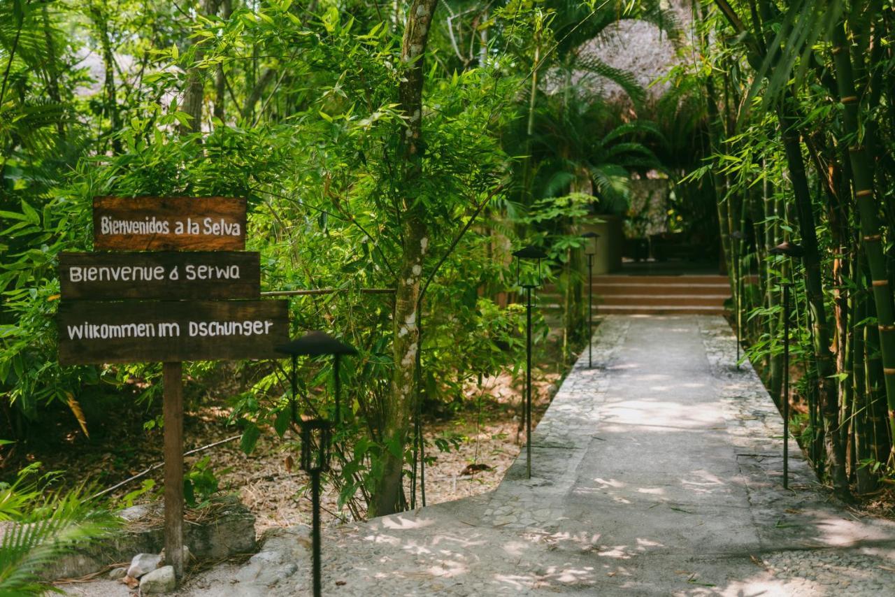 Piedra De Agua Palenque Hotel Buitenkant foto